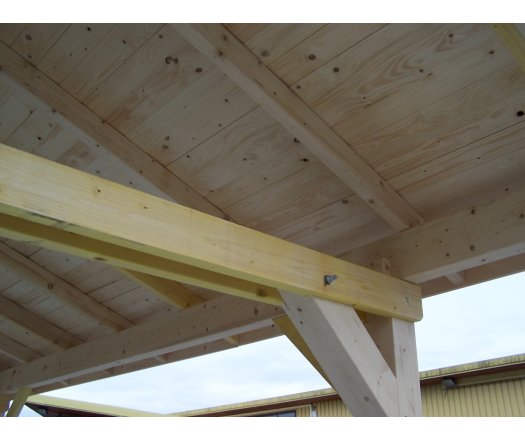 Carport Karpa, Epicéa du nord section 120 x 45mm, 3.50 x 5.00m, 17.50m²