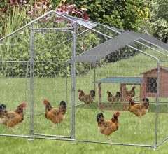 Enclos parc grillagé pour animaux, Acier, 3.00 x 6.00m, 18m²