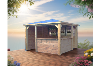 Pool House Blueterm 1 paroi avec mur plein / 1 paroi avec ventelles / 2 parois avec comptoir, THT Toit en panneaux ACP, 3.50 x 3.50 m, 12.25m²